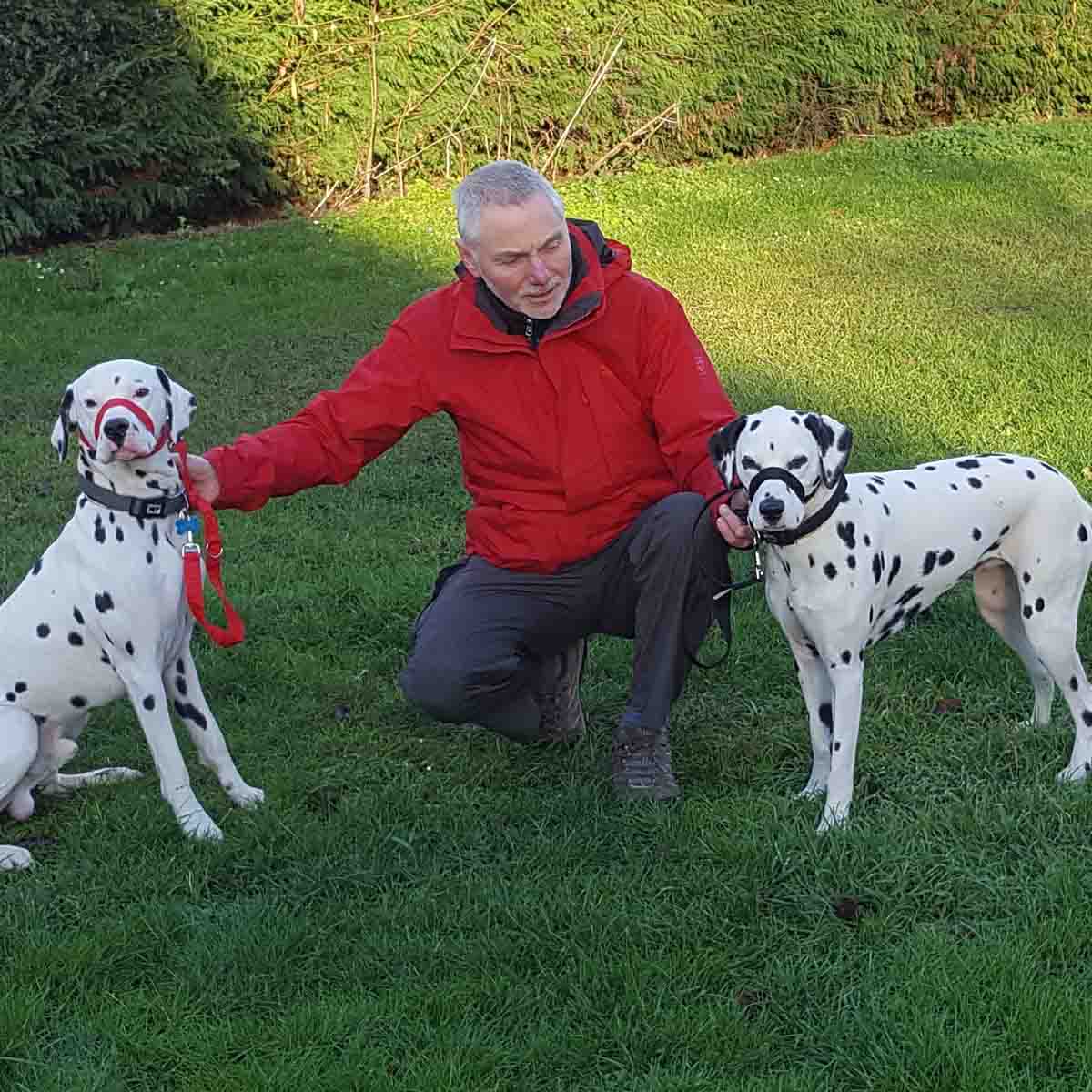 Mort Smith training dogs in Shrewsbury